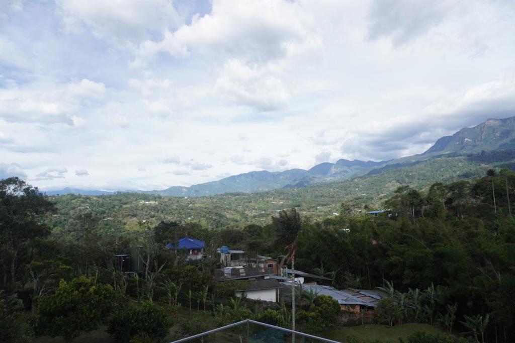 Monte Alto photo 4