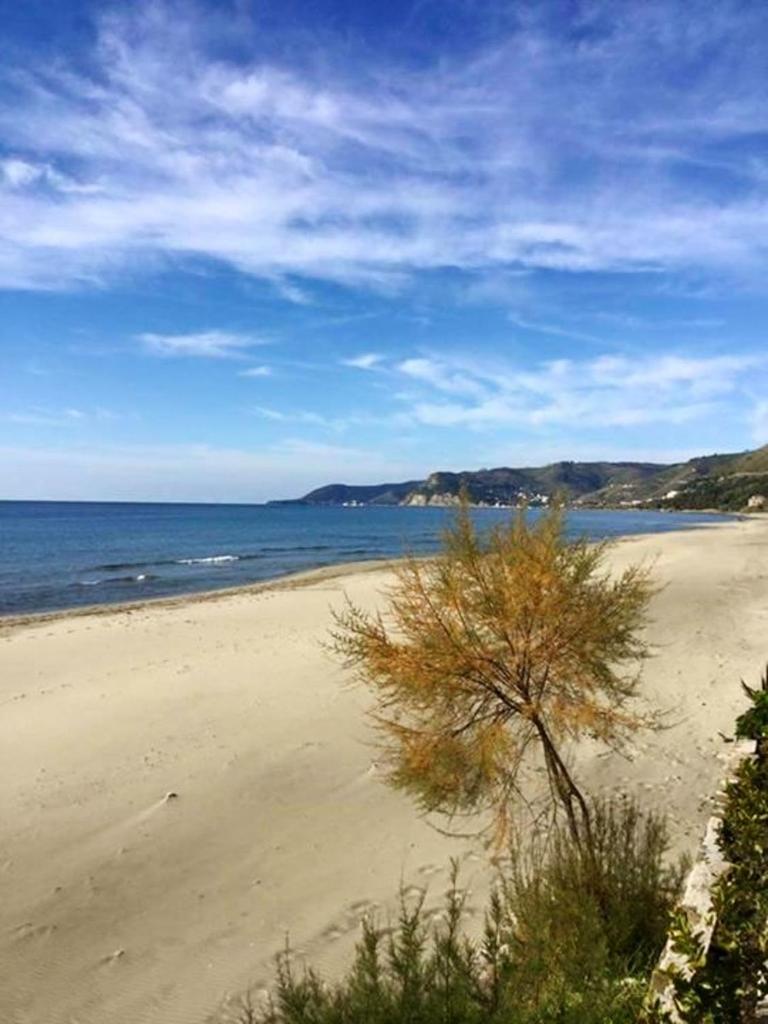 One bedroom appartement with sea view and enclosed garden at San Mauro Cilento 7 km away from the beach photo 4