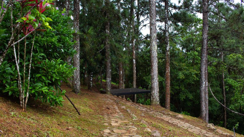 Arrue's Mountain Retreat photo 4