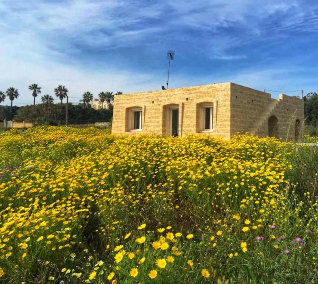 Villa Mariapaola photo 3