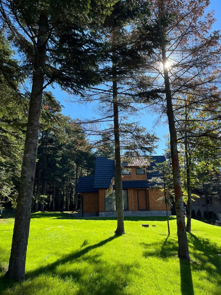 Vila Dalma photo 3