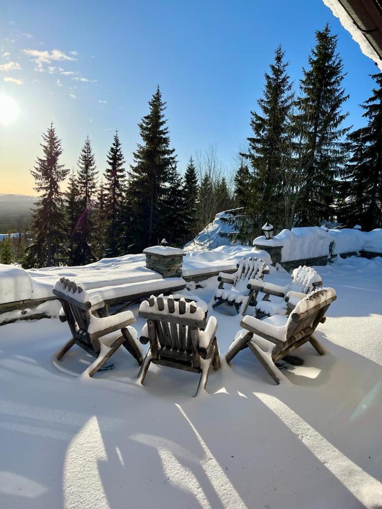 Chalet De Luxe 518 photo 1