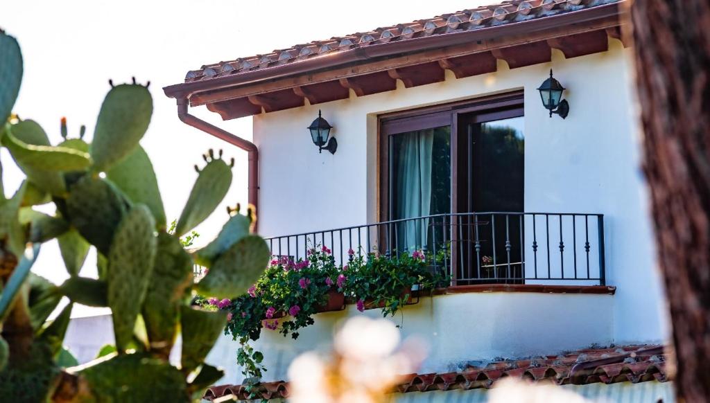 One bedroom appartement at Capitana 350 m away from the beach with sea view garden and wifi photo 1