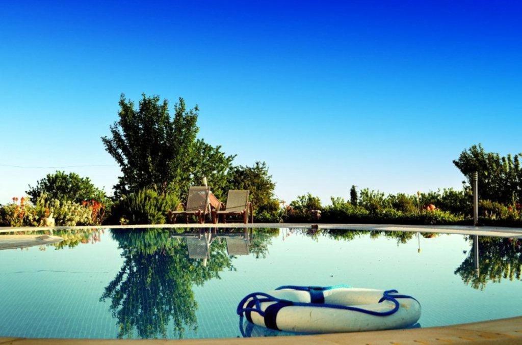 5 bedrooms house with private pool enclosed garden and wifi at Paphos photo 3