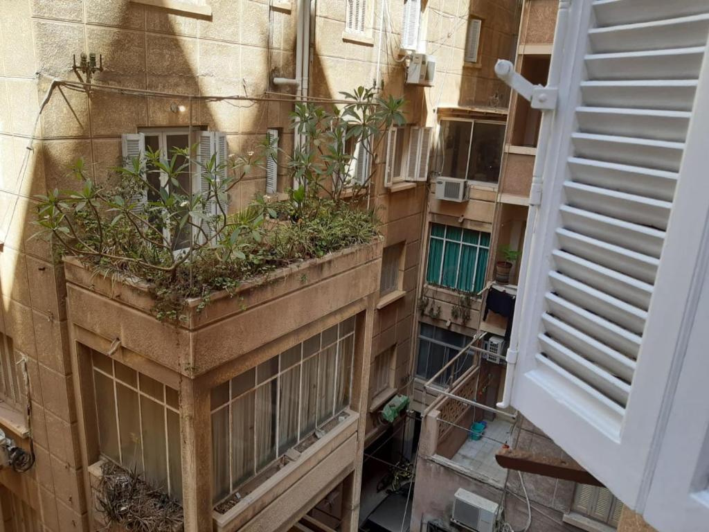 Smoha Zahran Haus (Private rooms or Private Apartment) photo 3