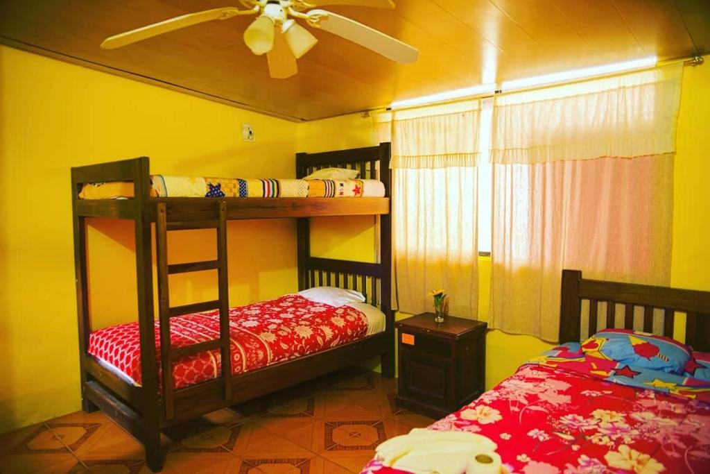 Hostal Henrry's photo 4