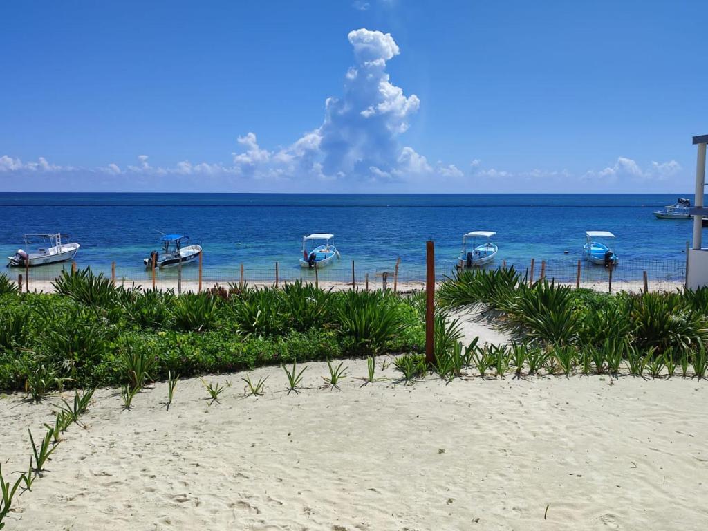 Casa Lucia Beachfront Puerto Morelos