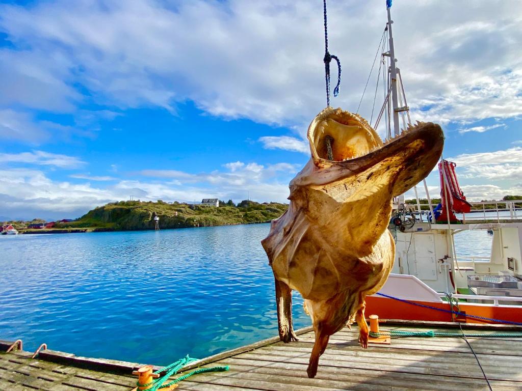 Charming Rorbu Stamsund Lofoten photo 2