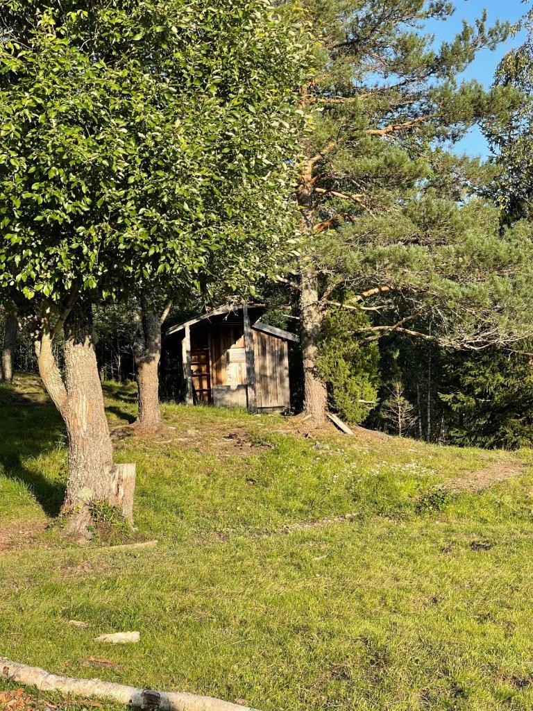 koselig liten hytte i Skien photo 4