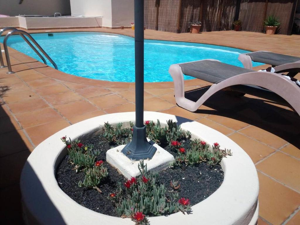 Studio with private pool furnished terrace and wifi at Tahiche photo 2