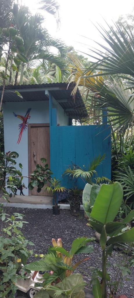 Casa LalitoHouse cabaña rustica frente al mar. photo 2