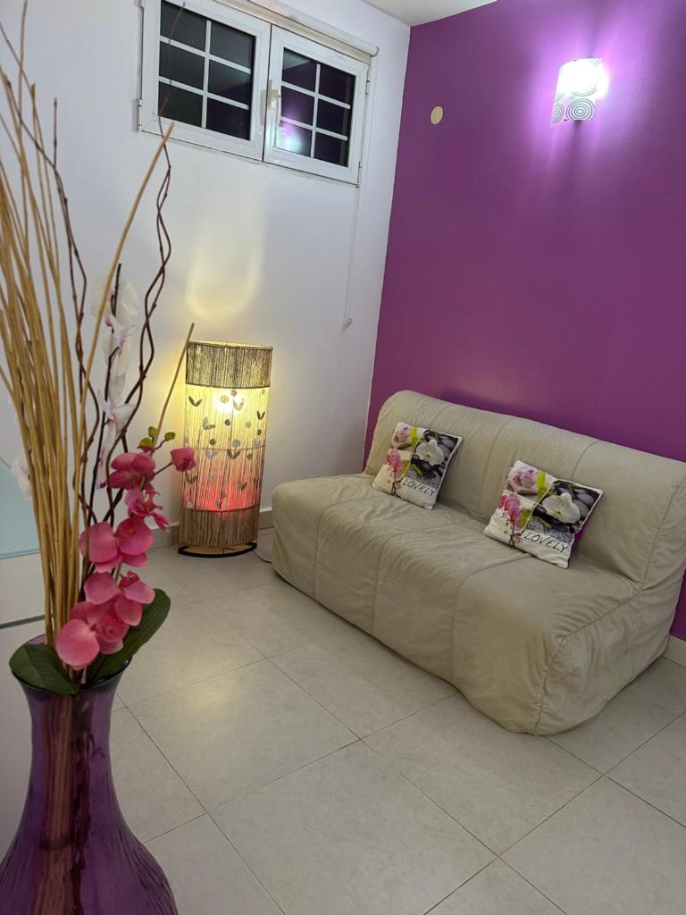 Appartement Coeur de Papillon photo 4