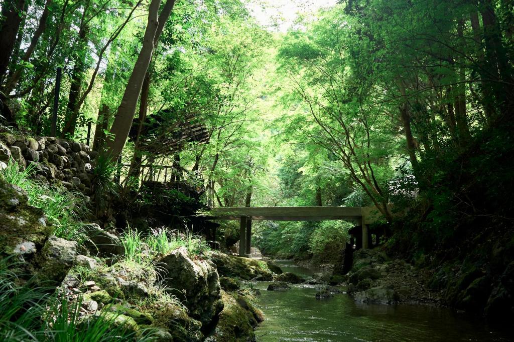 自然人村 photo 2