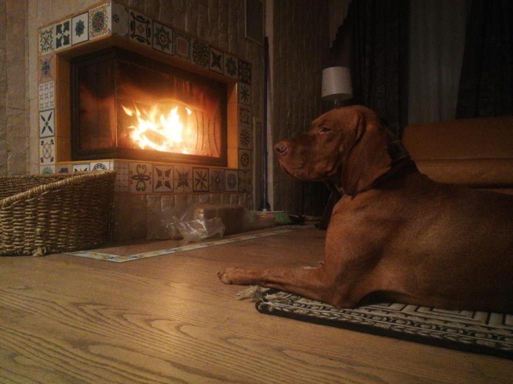 Bella Vita brīvdienu māja photo 2