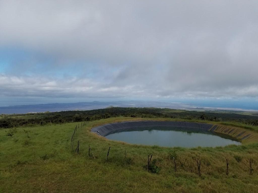 Brisas del Junco photo 2