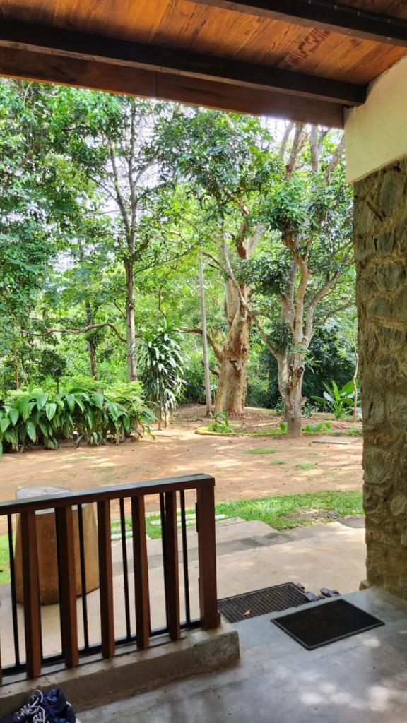 Jungle House photo 4