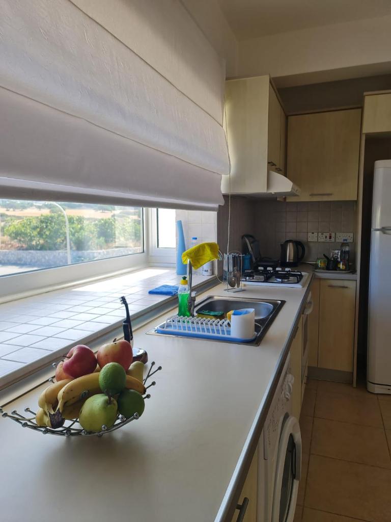 Penthouse with rooftop terrace photo 3