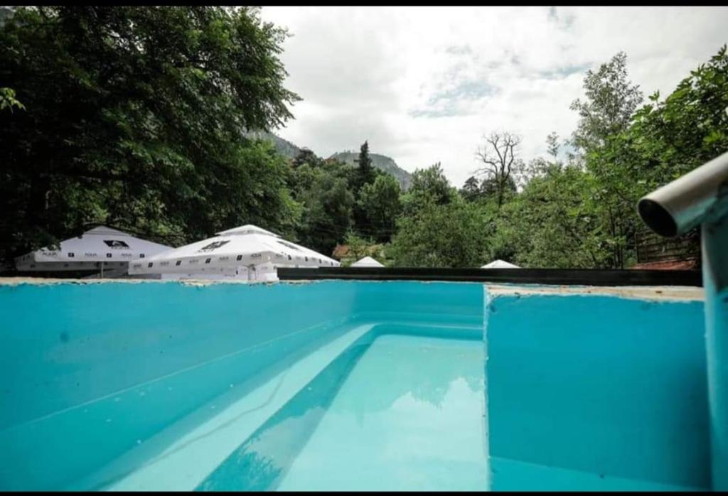 Casa Dimitrios photo 4