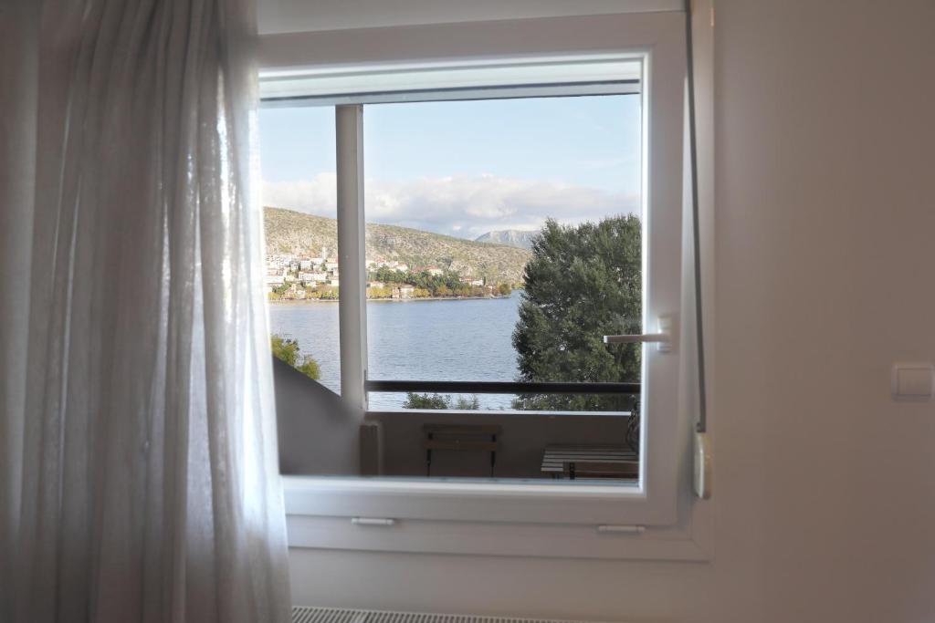 Swan Lake Front Apartment photo 2