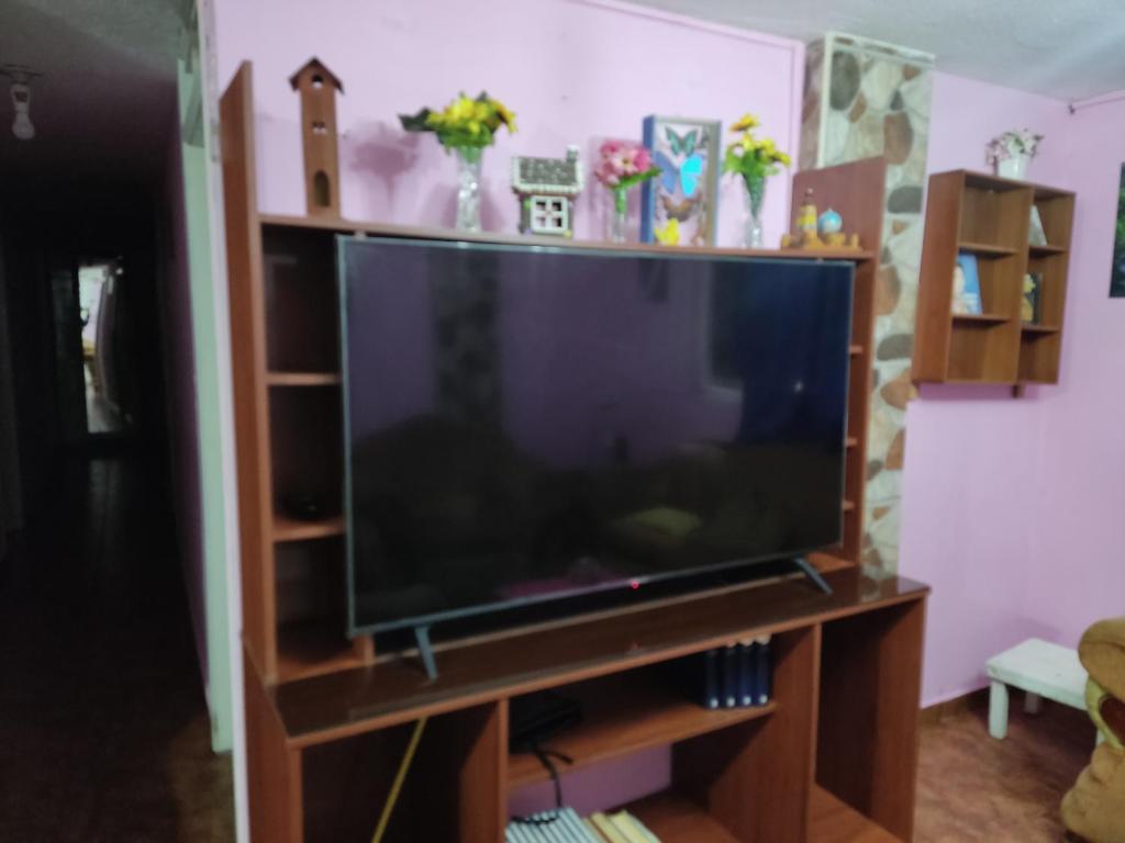 Flatshare Department photo 2