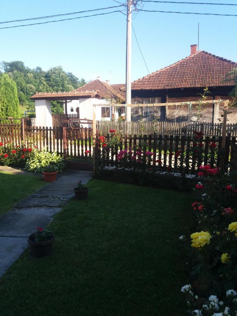 Guesthouse Tadic photo 2