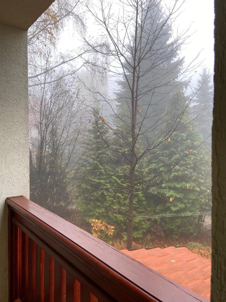 Apartman Spasojević photo 4