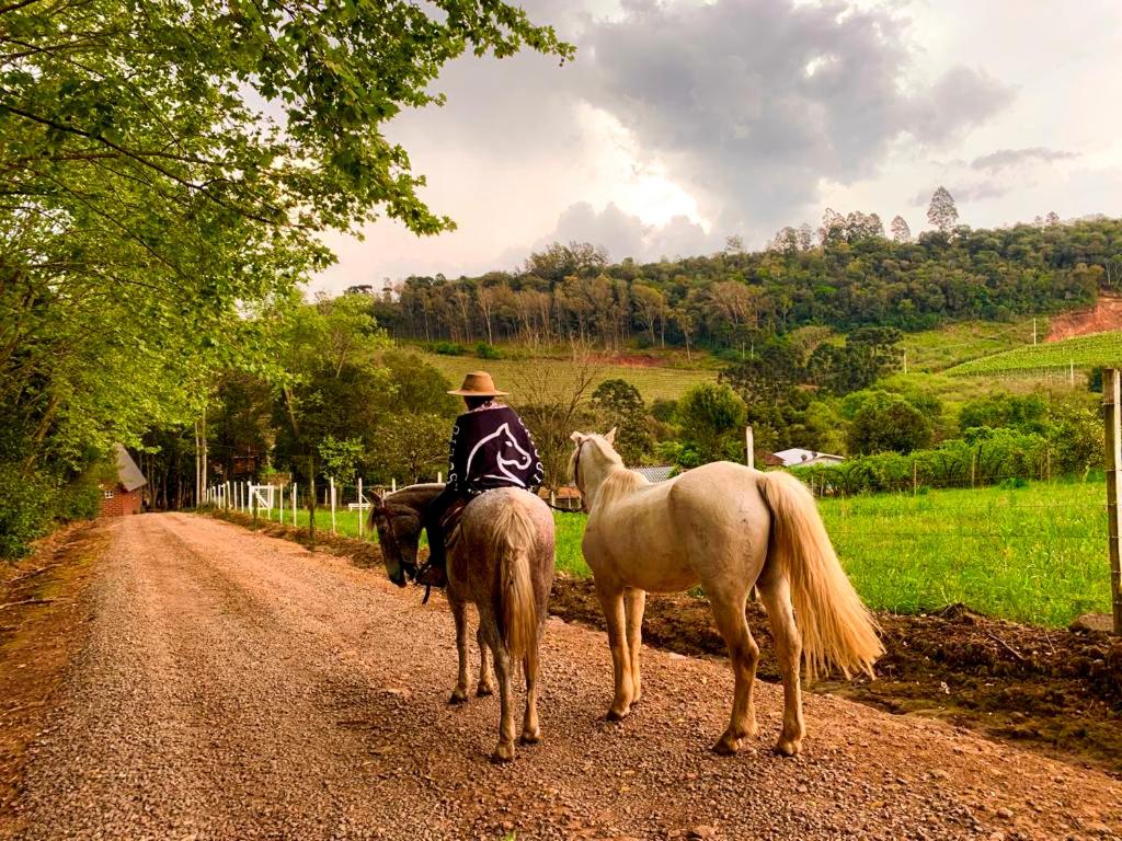 Chalé com hidro e vista (insta @altodamontanhars) photo 4