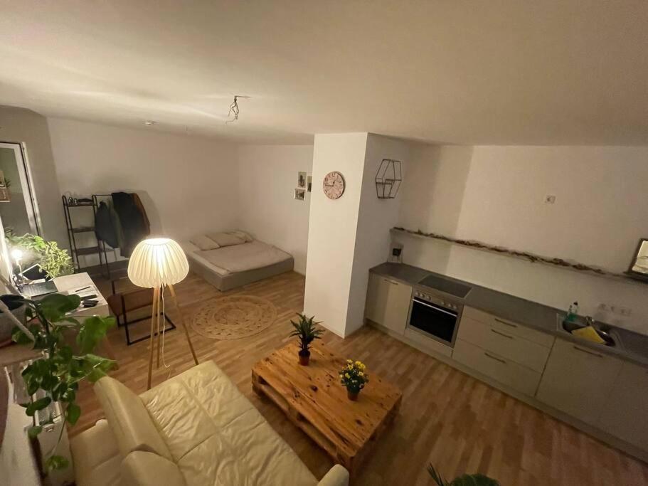 Charmante große 1- Raum Wohnung photo 2