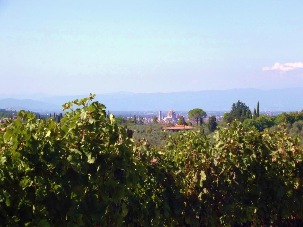 Le Civette Country Resort photo 2