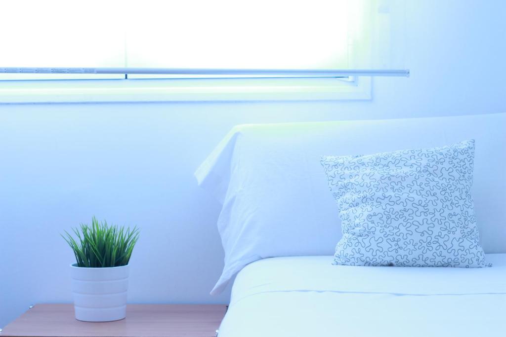 Zubia Urban Rooms