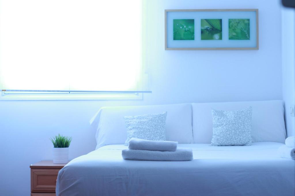 Zubia Urban Rooms photo 3
