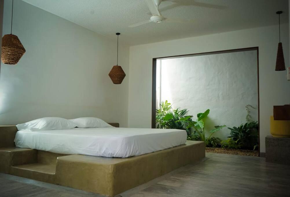 Casa Amarilla photo 2