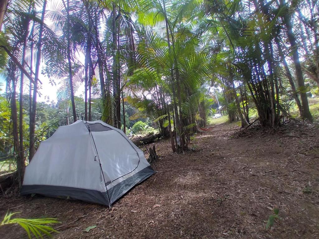 CATEDRAL THE ROCK CAMPING photo 3