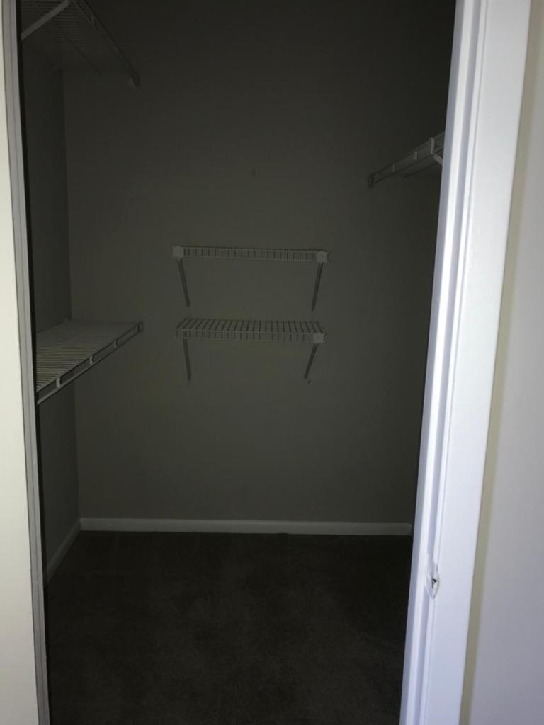 Looking for a roommate image