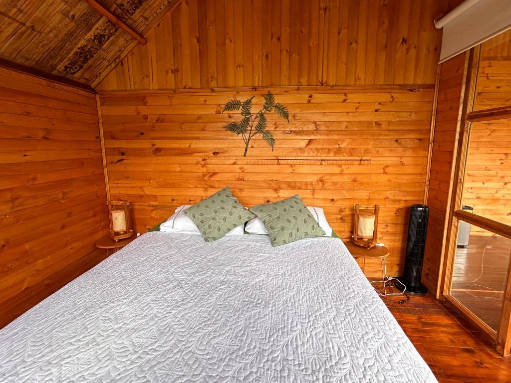 Tropical House photo 1