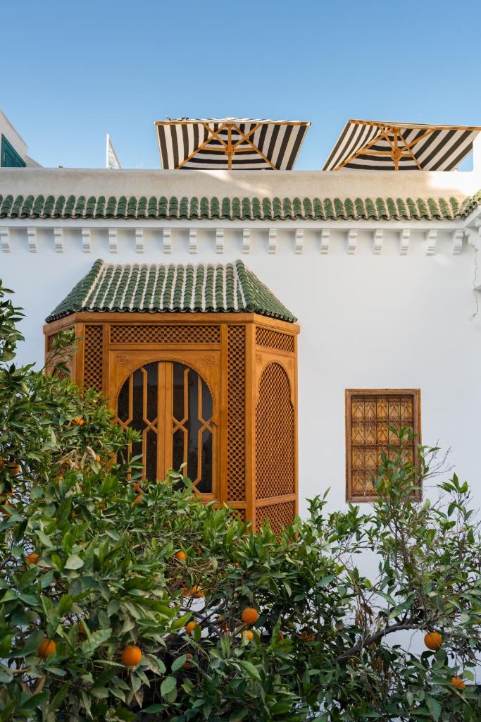 Riad Botanica photo 4