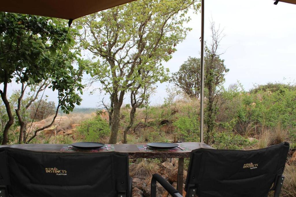 Luxury Treehouse on Bronberg Ridge photo 3