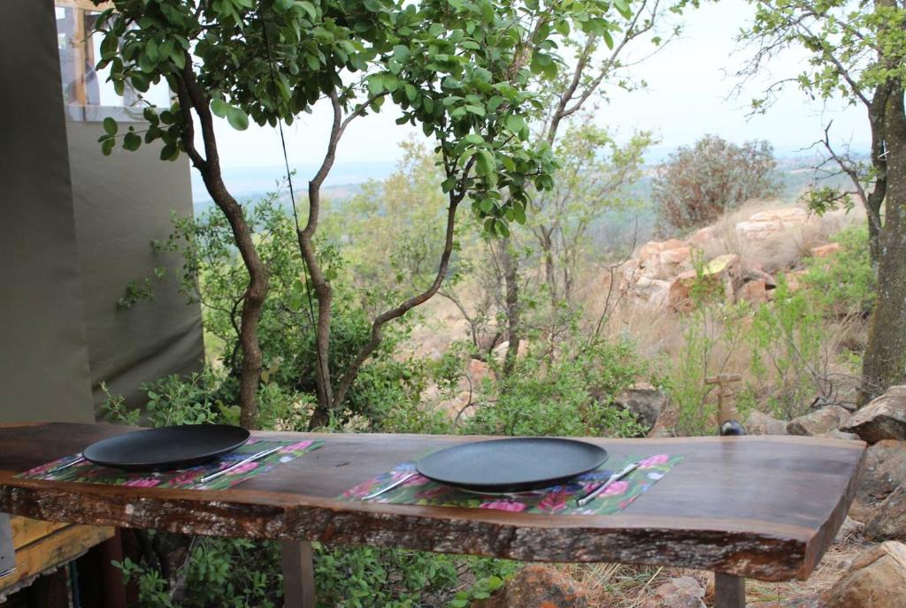 Luxury Treehouse on Bronberg Ridge photo 4