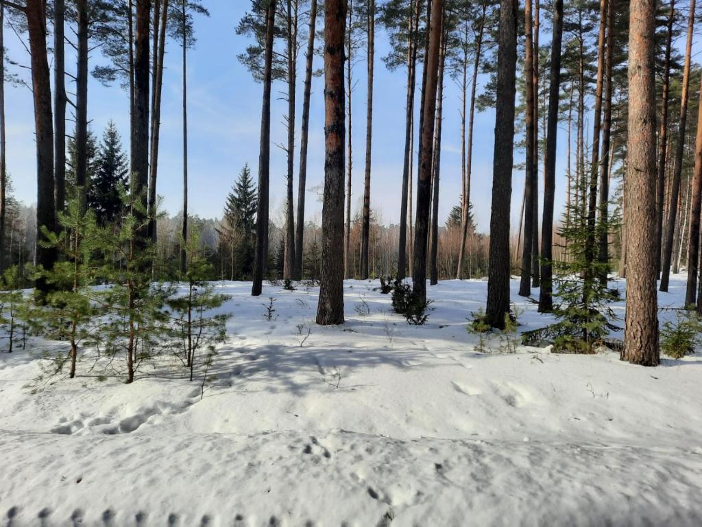 Leśniczówka nad jeziorem photo 1
