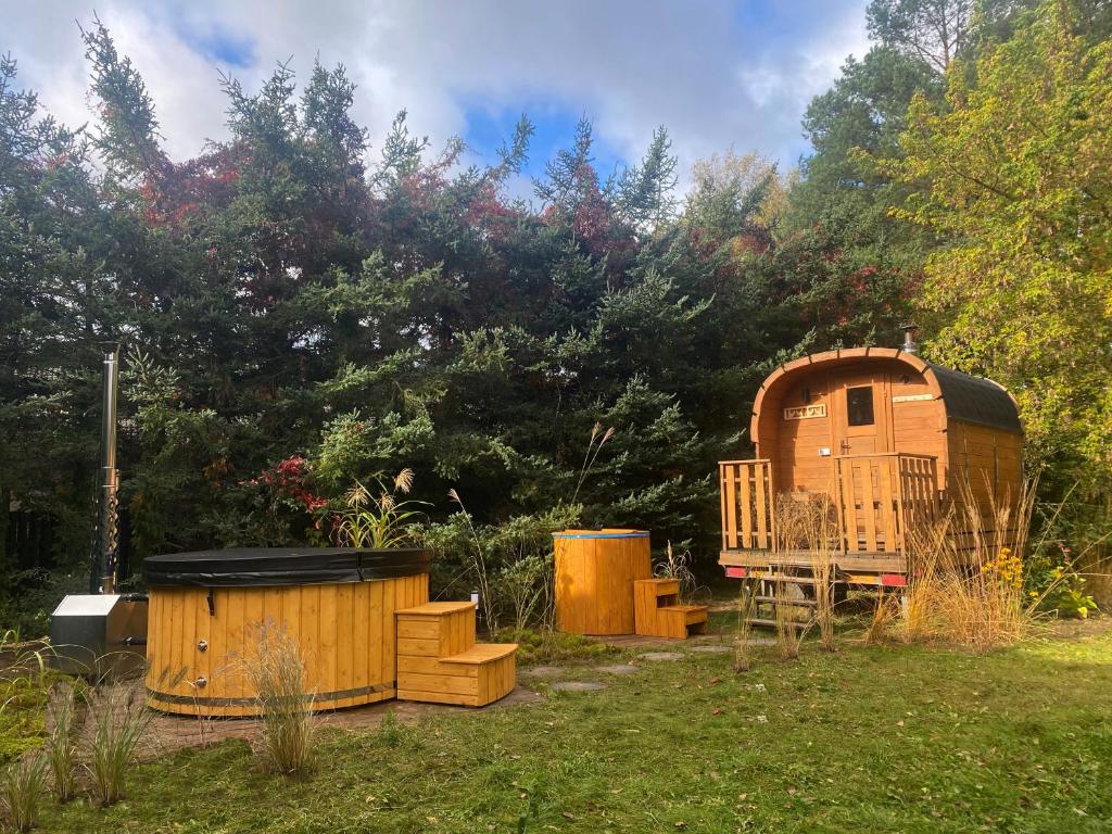 Szeroki Bór oaza w Puszczy z Sauną, Banią i Jacuzzi photo 1