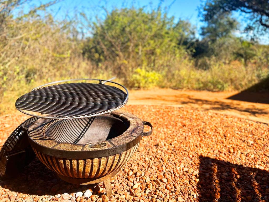 Wild Dog Guest Lodge photo 4