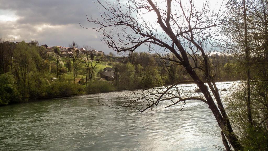 Vila Jasna photo 4