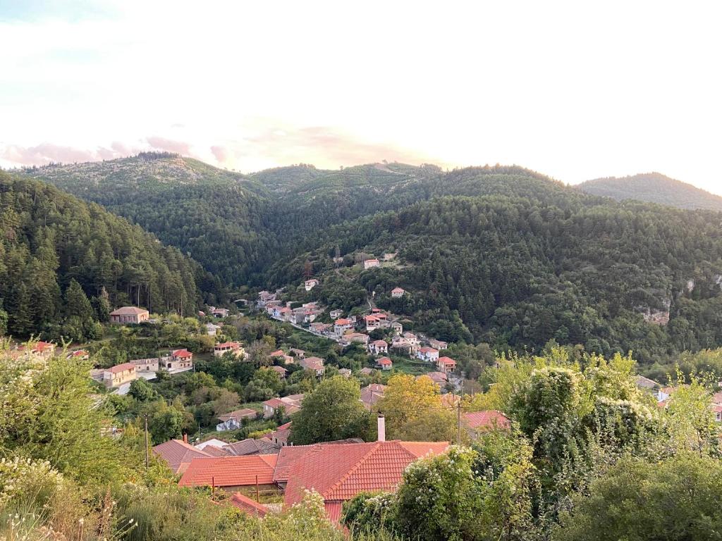 Το Aρχοντικό των Τσιντζίνων photo 2
