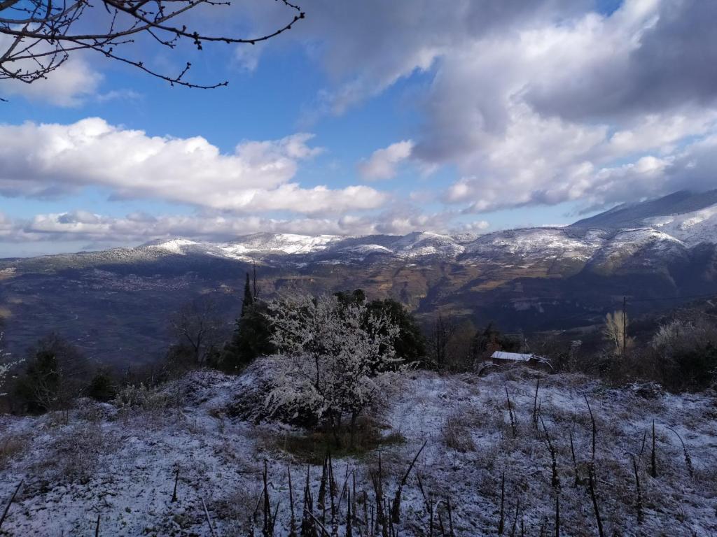 Μικρή Ζήρεια Ενοικιαζόμενη Κατοικία photo 4
