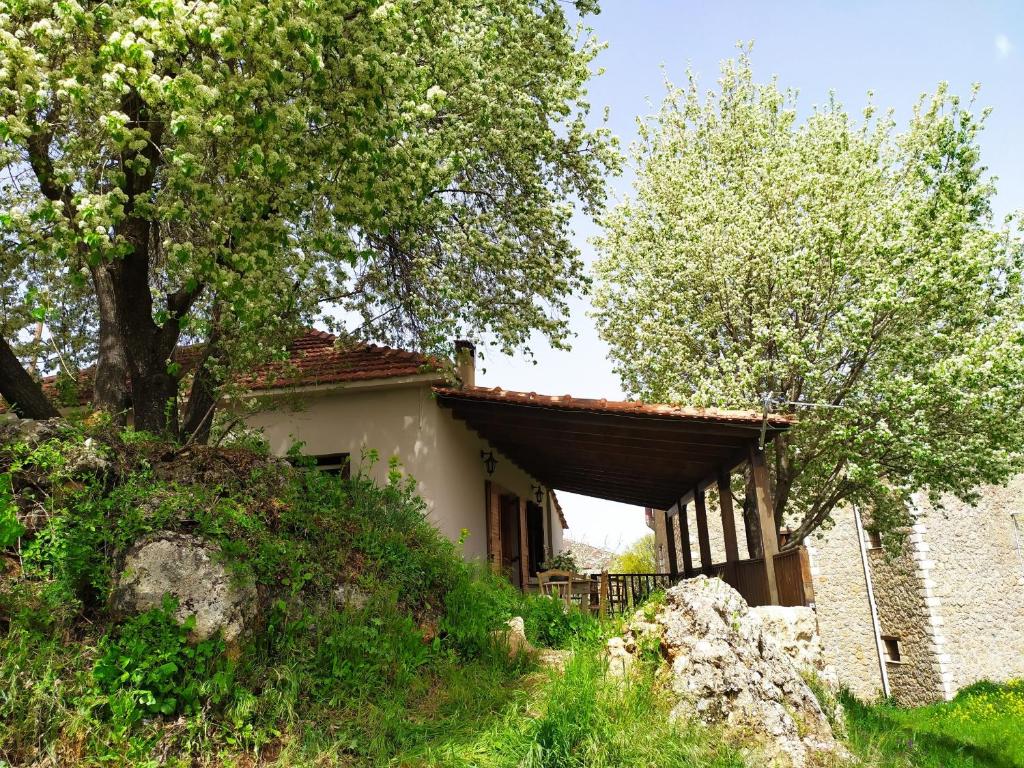 Μικρή Ζήρεια Ενοικιαζόμενη Κατοικία photo 1