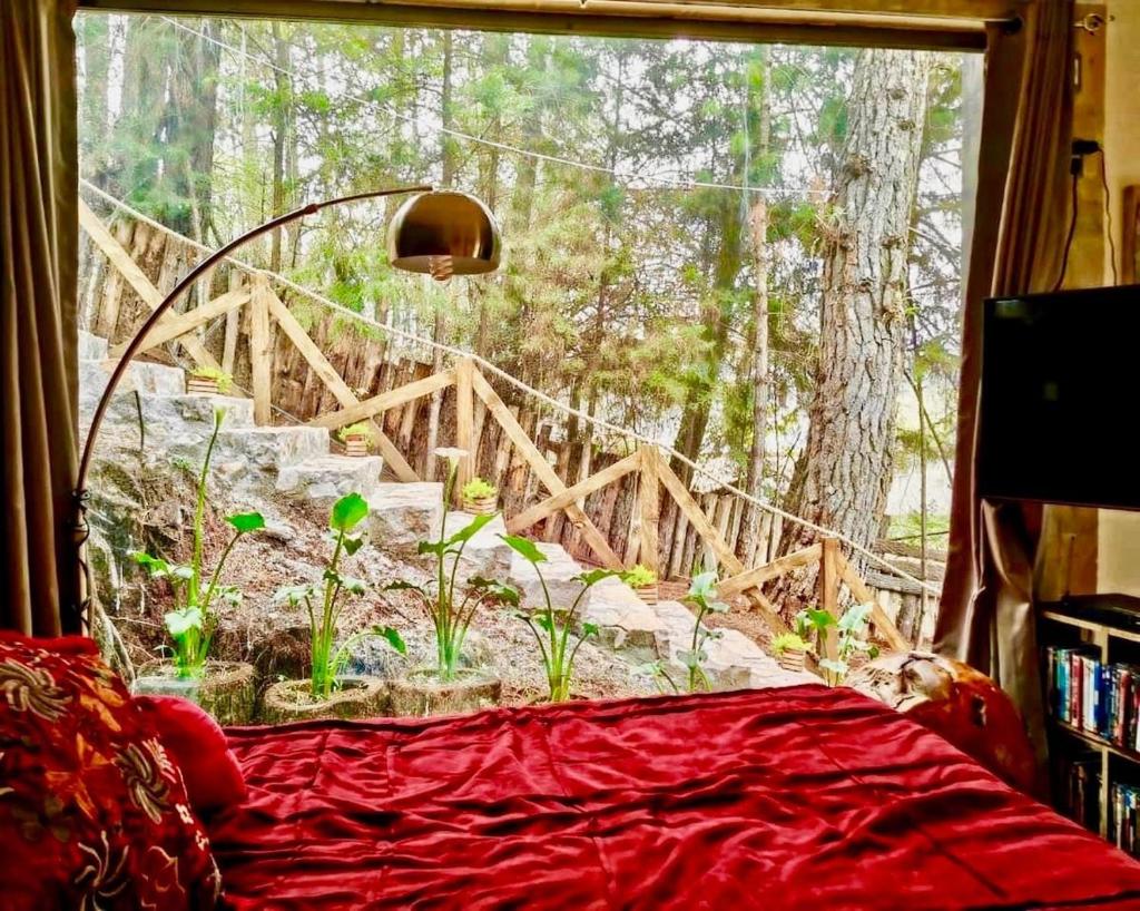 Loft37 - Íntimo / Inmerso en la naturaleza photo 3