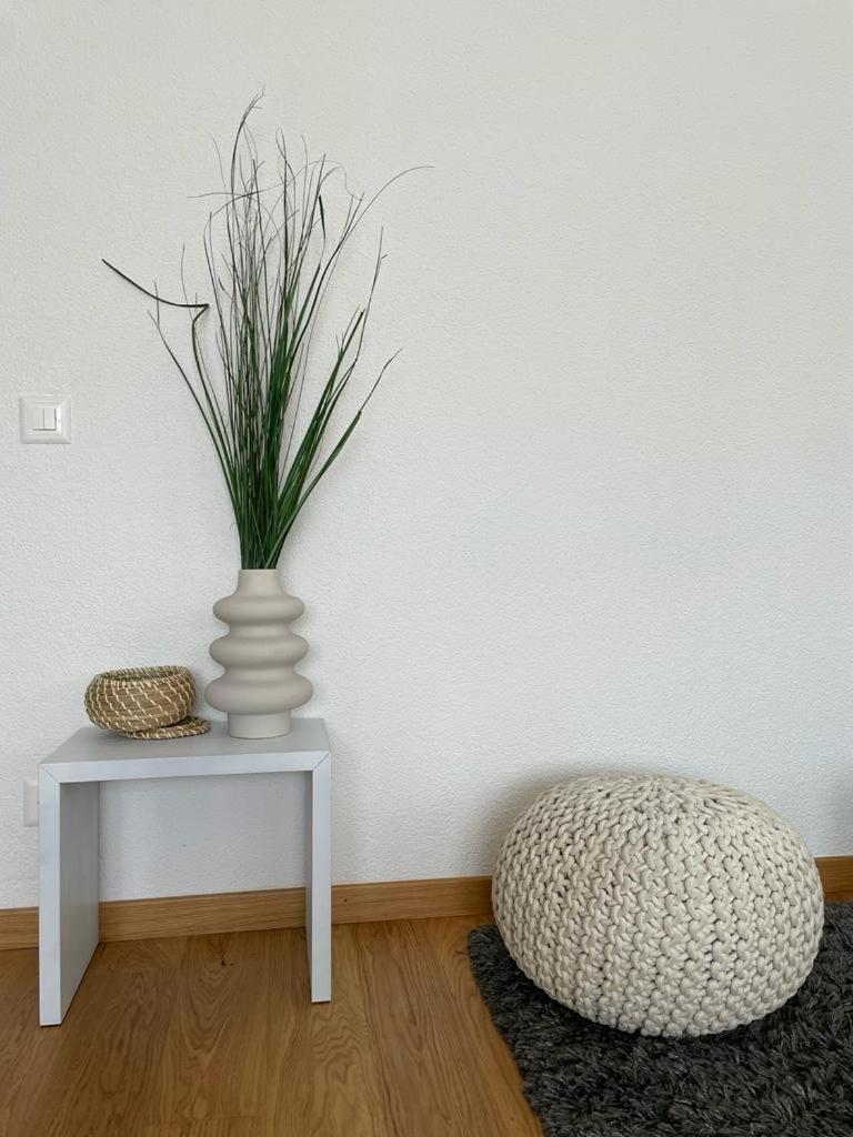 Appartamento con giardino photo 3