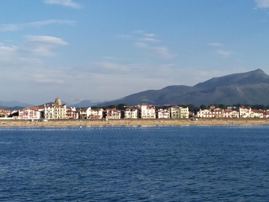 XOKO GORRI photo 2