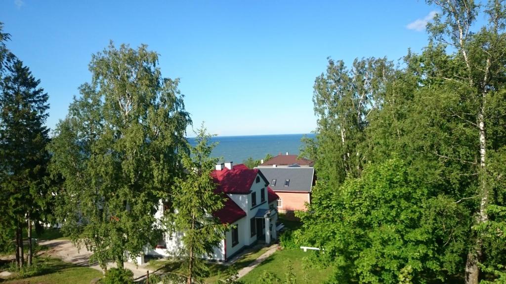 Virulase Holiday Home photo 3