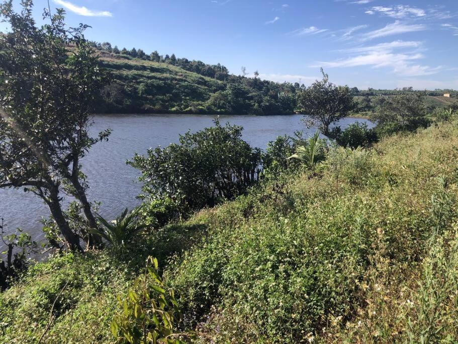 The FARM on the LAKE